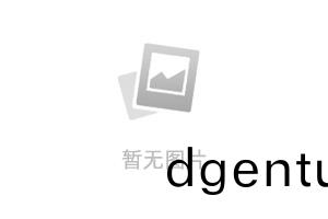 打叉(cha)闆説(shuo)明(ming)